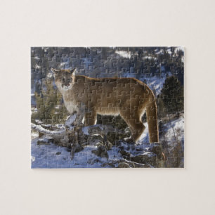 Puma Puzzle