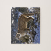 Puma Puzzle (Vertikal)
