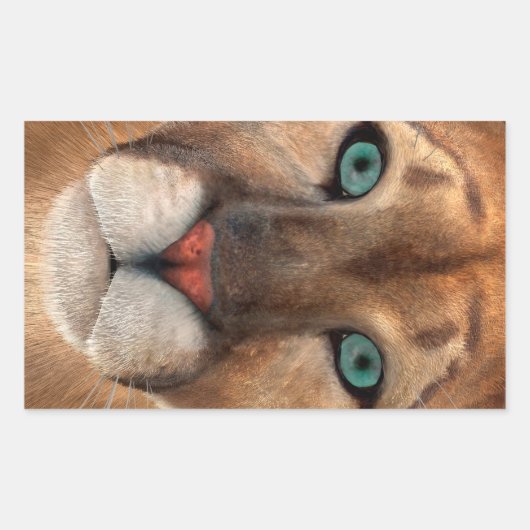 Puma Rechteckiger Aufkleber (Vorderseite)