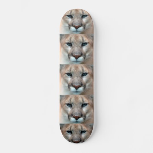 Puma Skateboard (Vorderseite)