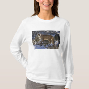 Puma T-Shirt