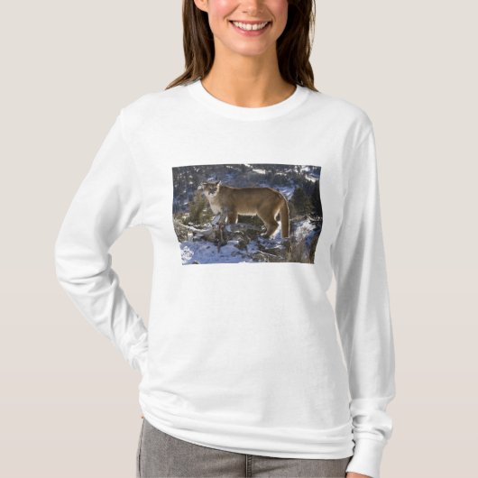 Puma T-Shirt (Vorderseite)