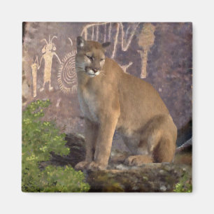 Puma und Bilddagramme Magnet