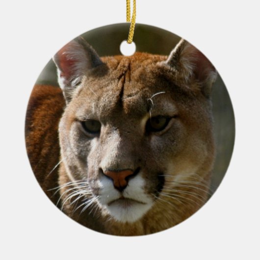 Puma-Verzierung Keramik Ornament (Vorne)