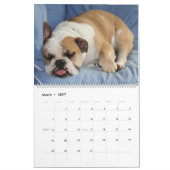 Pumbaa Kalender (Mär 2027)