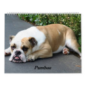 Pumbaa Kalender (Titelbild)