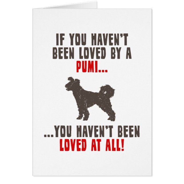 Pumi (Vorne)