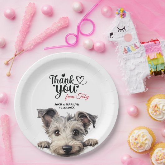 Pumi Dog Pappteller (Party)