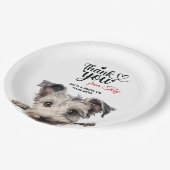 Pumi Dog Pappteller (Schrägansicht)