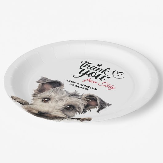 Pumi Dog Pappteller (Schrägansicht)