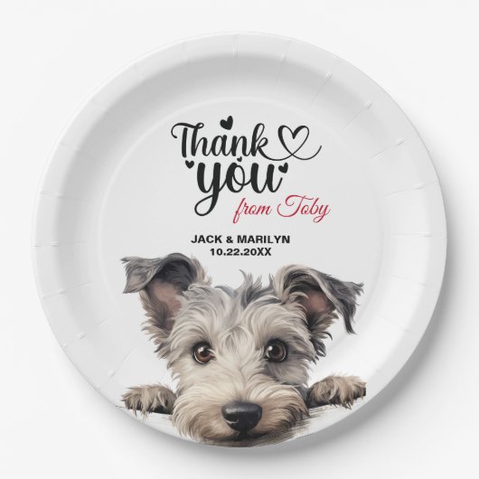 Pumi Dog Pappteller (Vorderseite)