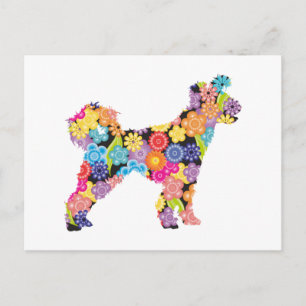 Pumi Postkarte