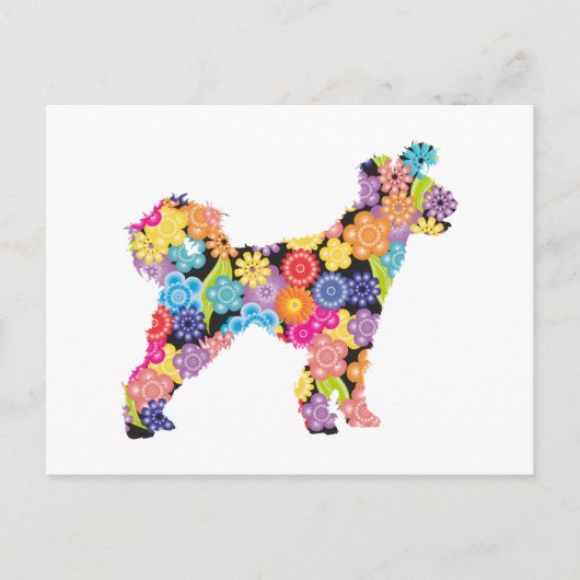 Pumi Postkarte (Vorderseite)