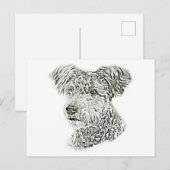 Pumi Postkarte (Vorne/Hinten)