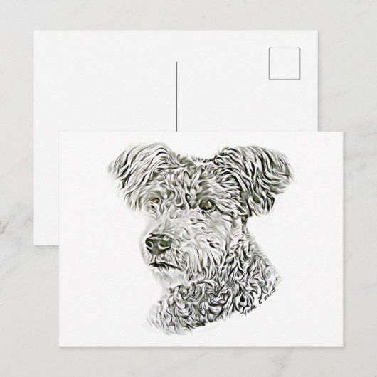 Pumi Postkarte (Vorne/Hinten)