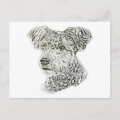 Pumi Postkarte (Vorderseite)