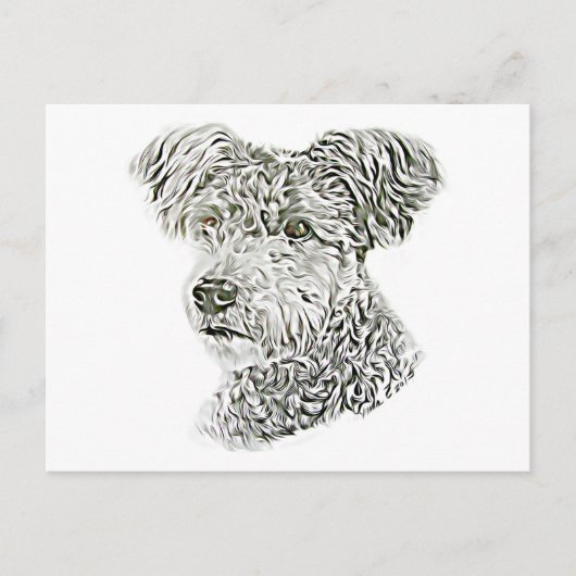 Pumi Postkarte (Vorderseite)