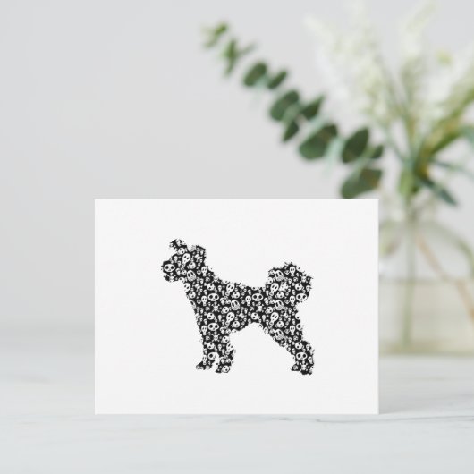 Pumi Postkarte (Stehend Vorderseite)