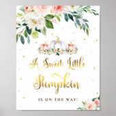 Pumkin Baby Dusche Rosa und Gold Party Zeichen Poster (Vorne)