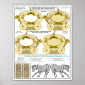 Pumkin Cream Coach Dankbare Hochzeitskarte Poster (Vorne)