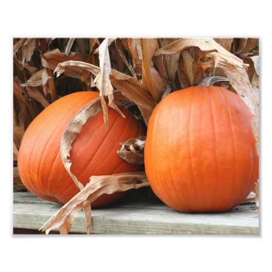 Pumpen und getrocknete Maisstämme Herbst 8x10 Fotodruck (Vorne)