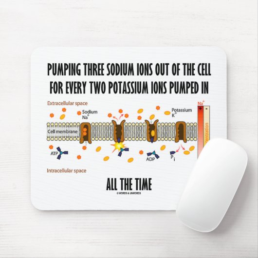 Pumpen von drei Natriumionen aus der Zelle (Na-K-P Mousepad (Mit Mouse)