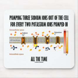 Pumpen von drei Natriumionen aus der Zelle (Na-K-P Mousepad