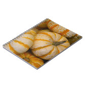 Pumpkamera Notizblock (Linke Seite)