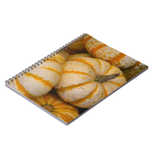 Pumpkamera Notizblock (Linke Seite)