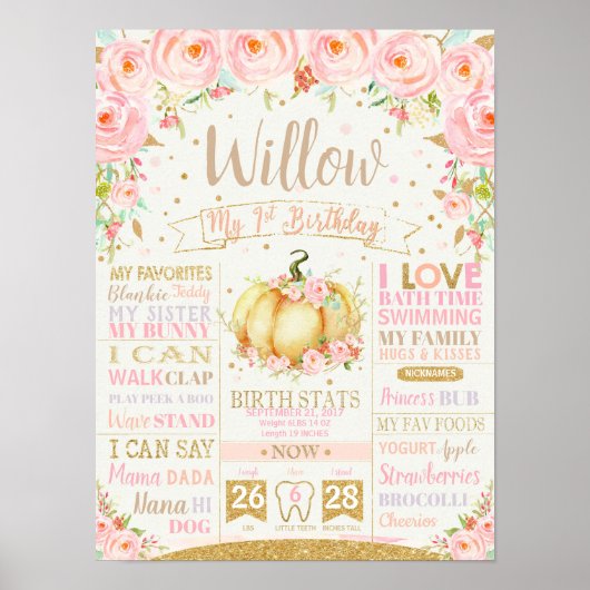 Pumpkin 1. Geburtstag Meilensteine Geburtsstunde Z Poster (Vorne)