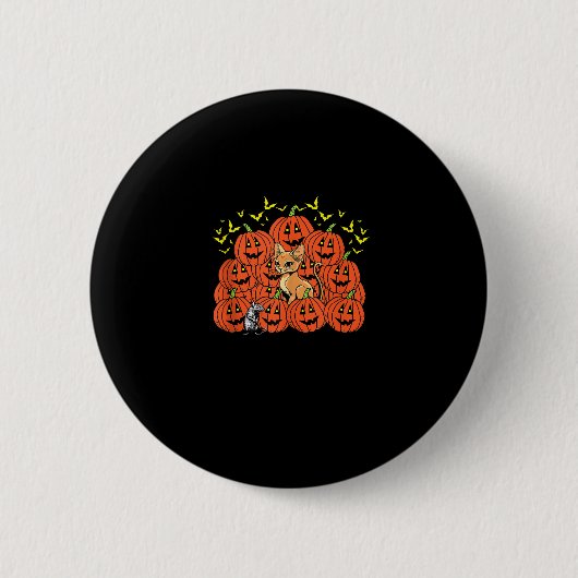 Pumpkin Abyssinian Cat Halloween Kitten Jack O Lan Button (Vorderseite)