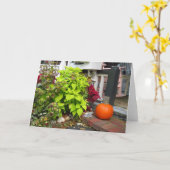 Pumpkin and Coleus - Martha's Vineyard Karte (Gelbe Blume)