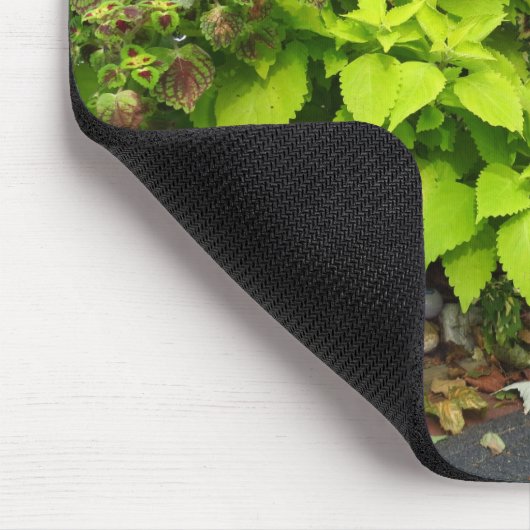 Pumpkin and Coleus - Martha's Vineyard Mousepad (Ecke)