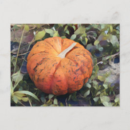 Pumpkin Art Postkarte