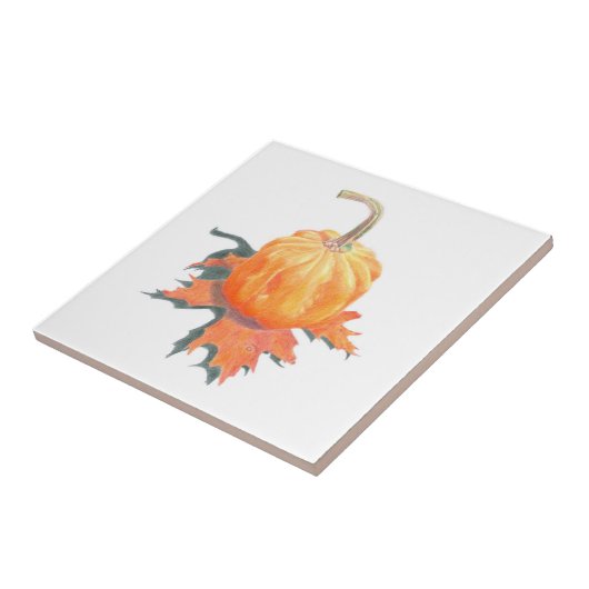 Pumpkin auf Blätter Keramik Tile Fliese (Seite)