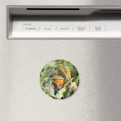 Pumpkin auf Weinbaufotografie Magnet (In Situ (Geschirrspüler))