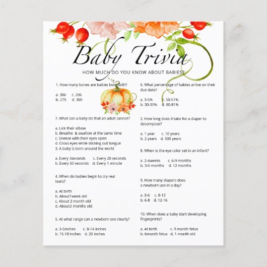 Pumpkin Baby Trivia Baby Showspiel (Vorderseite)