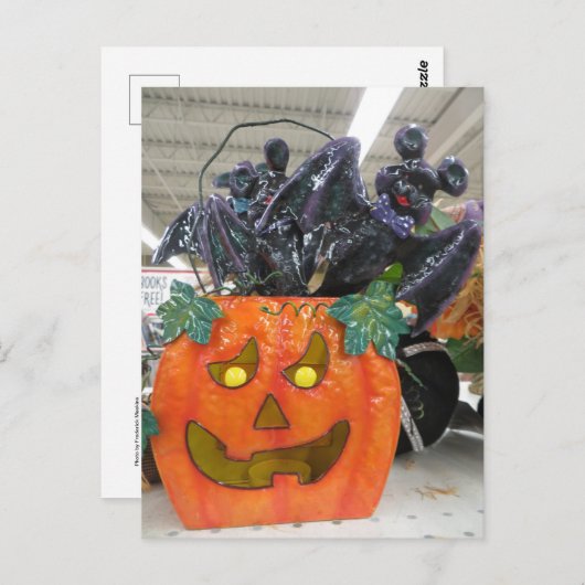 Pumpkin & Bat Postkarte (Vorne/Hinten)