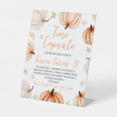 Pumpkin Birthday Time Kapsel Zeichen Sockelschild (Vorderseite)