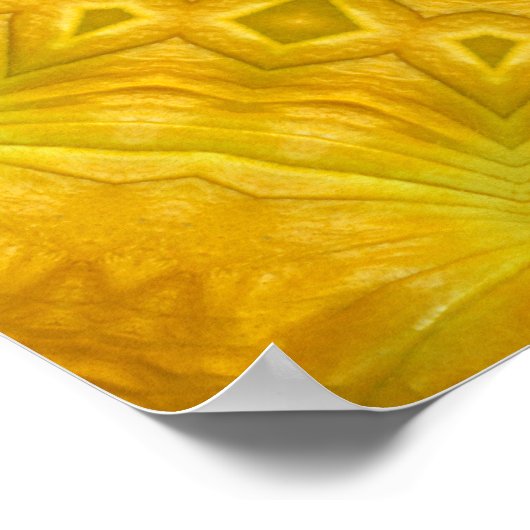 Pumpkin Blossom Kaleidoskop Poster (Ecke)