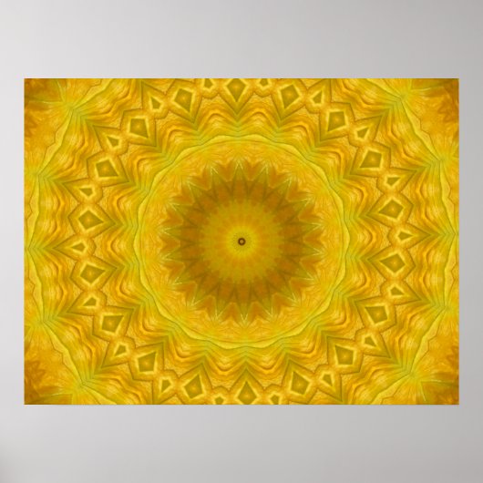 Pumpkin Blossom Kaleidoskop Poster (Vorne)