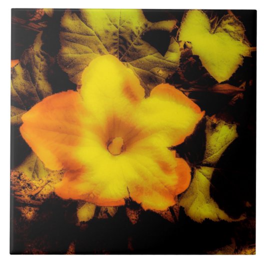 Pumpkin-Blume Fliese (Vorderseite)