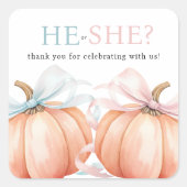 Pumpkin Bow Pink Blue Gender Reveal Quadratischer Aufkleber (Vorderseite)
