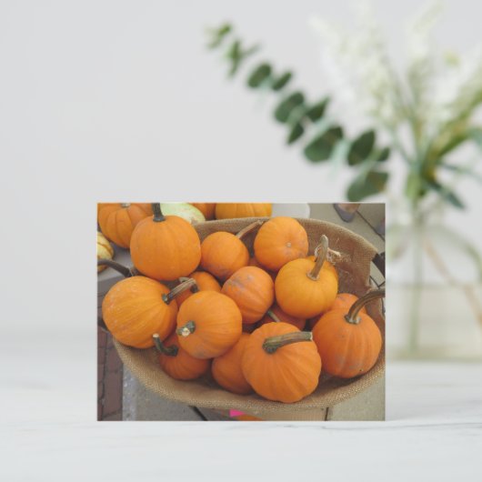 Pumpkin Bundle Postkarte (Stehend Vorderseite)