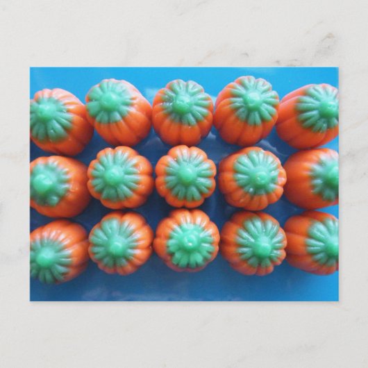 Pumpkin Candy Corn Geschenke Postkarte (Vorderseite)