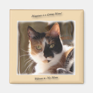 Pumpkin Cat Happiness Magnet