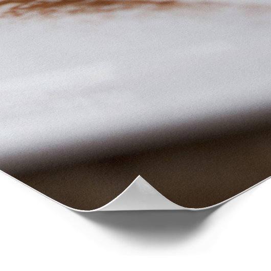 Pumpkin Cheesecake Poster (Ecke)