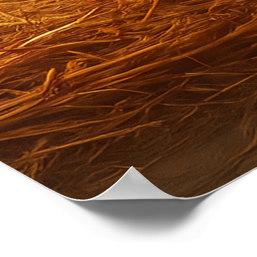 Pumpkin Chicken Art, Funny Chicken Wall Art Poster (Ecke)