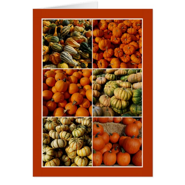 Pumpkin Collage (Vorne)