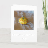 "Pumpkin" digital verändertes Stillleben auf Fabri Karte (Rückseite)